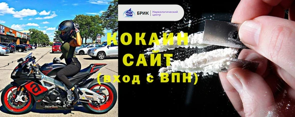 ПСИЛОЦИБИНОВЫЕ ГРИБЫ Бикин